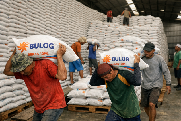 Stok Beras RI Tembus 4,9 Juta Ton, Pemerintah Klaim Siap Hadapi Krisis Pangan dan El Nino